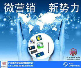 凌志營銷策劃 構建白云區網絡推廣與信息安全一體化的解決方案