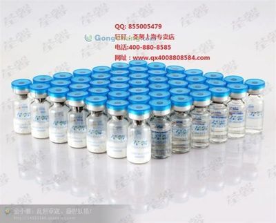 河源市委老干部局 傳承紅色基因，服務(wù)銀發(fā)群體的重要力量