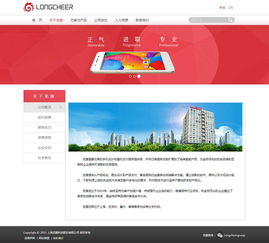 龍旗集團(tuán) 立足上海，輻射全球的科技先鋒